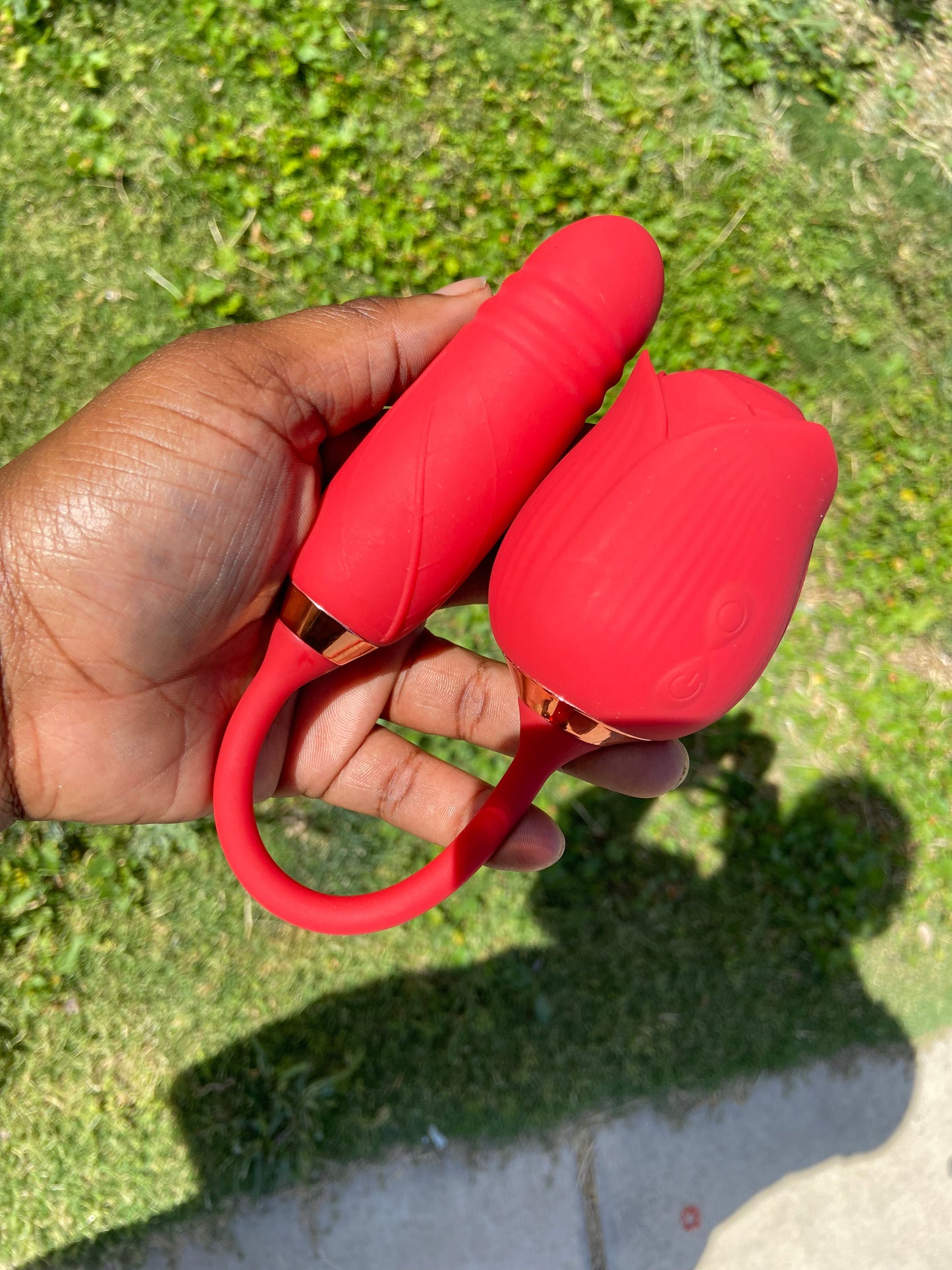 DA Rose 🌹 Zairel’s Kollection